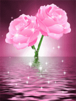 IMG_0940.gif