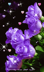 IMG_1147.gif