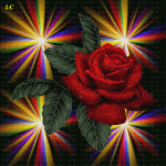 IMG_1142.gif