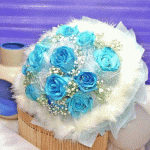 IMG_1169.gif