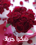 IMG_1304.gif