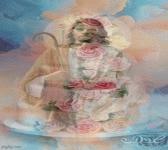 IMG_2410.gif