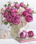 IMG_1380.jpeg