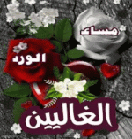 IMG_5689.gif