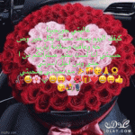 IMG_9198.gif