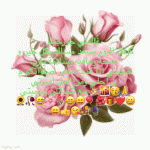 IMG_9199.gif